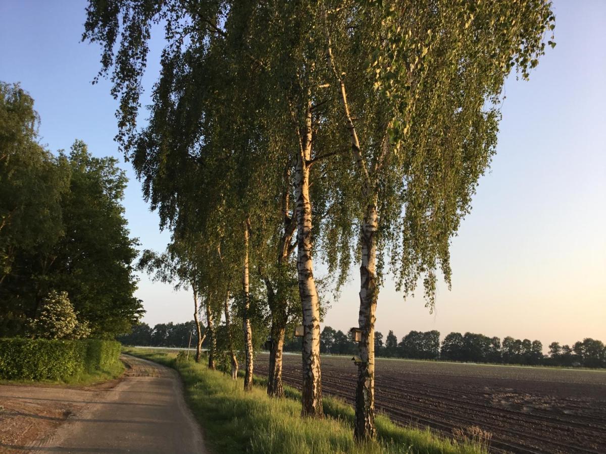 B&B Op 'T Eikenschoor Soerendonk Esterno foto
