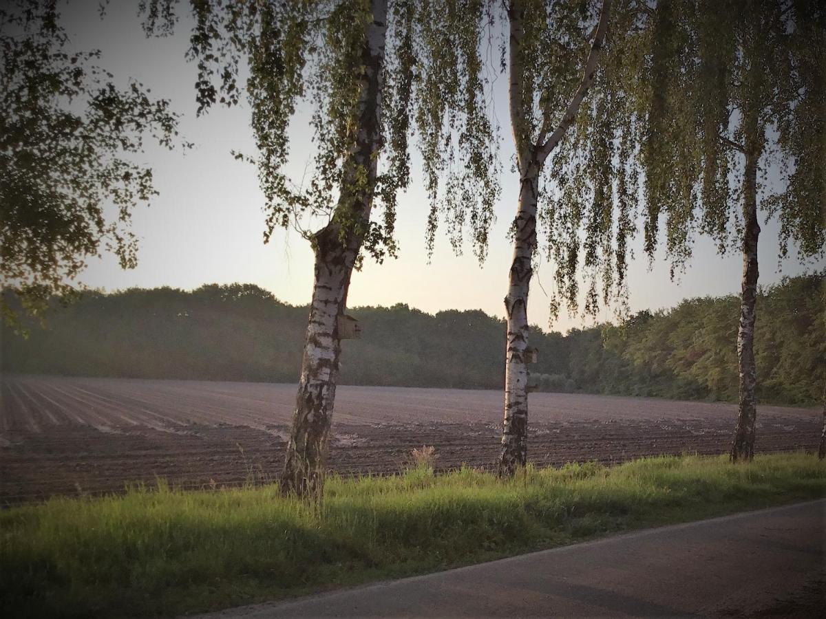B&B Op 'T Eikenschoor Soerendonk Esterno foto